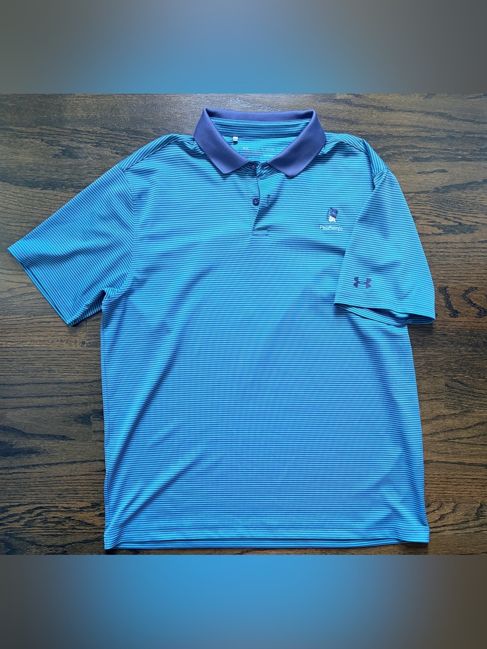 Under Armour HeatGear Men’s XL Pasatiempo Golf Polo Blue Stripe